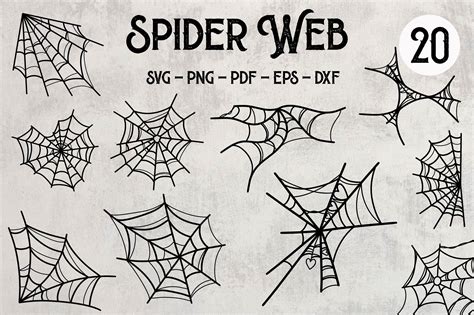 Download Free Spider Web SVG Bundle Crafts