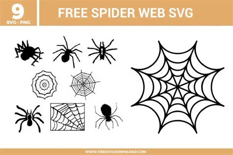 Download Free Spider Web SVG Bundle Files