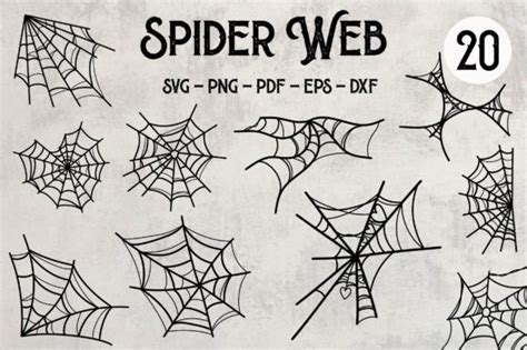 Download Free Spider Web SVG Bundle Images