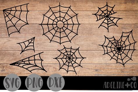 Download Free Spider webs, bundle, SVG, PNG, DXF Files DXF Files