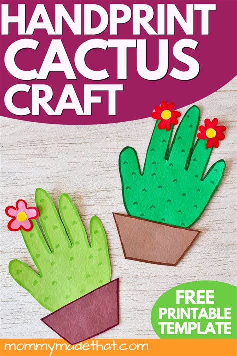 Download Free Spiked Cactus Commercial Use For Crafts