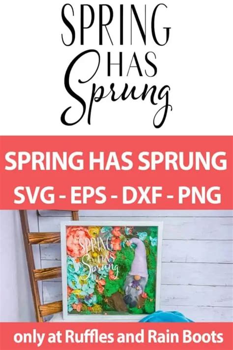 Download Free Spring Has Sprung SVG Cut File Cricut SVG DXF Files
