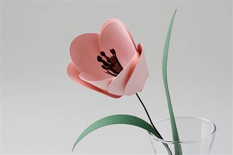 Download Free Spring Postcards for Cricut Machine