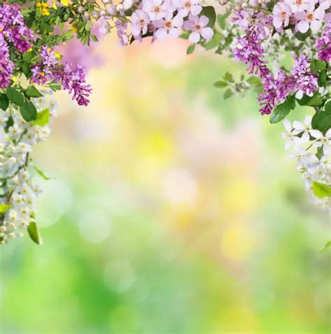 Download Free Spring Sweet Spring Commercial Use Free PSD Mockups