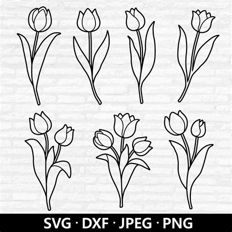 Download Free Spring Tulips. 8 Patterns Cricut SVG DXF Files