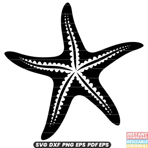 Download Free Starfish - SVG File, DXF File Creativefabrica