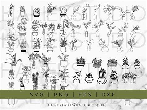 Download Free Succulent 1 Commercial Use DXF Files