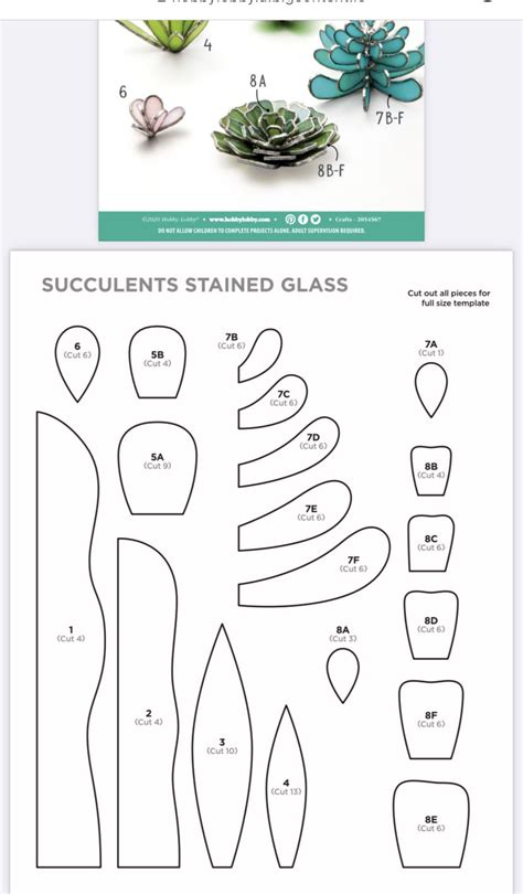 Download Free Succulent 1 Commercial Use For Crafts