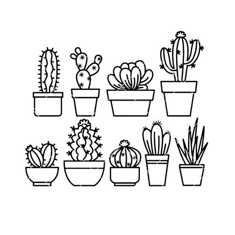 Download Free Succulent 1 Files DXF Files