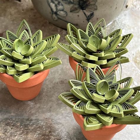 Download Free Succulent 1 Files For Crafts