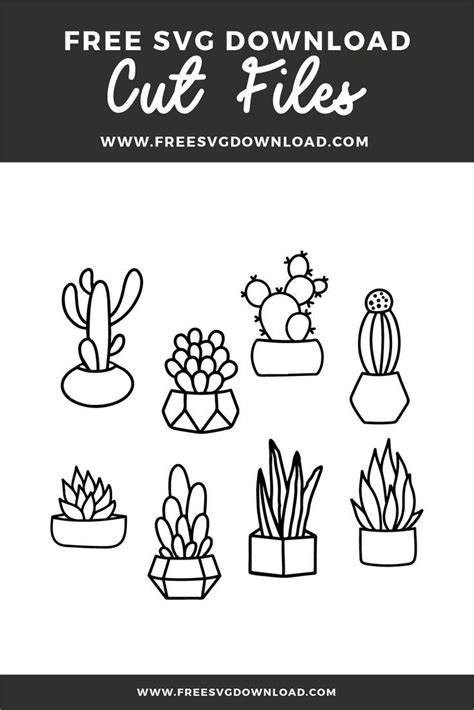 Download Free Succulent Bundle Cut Files