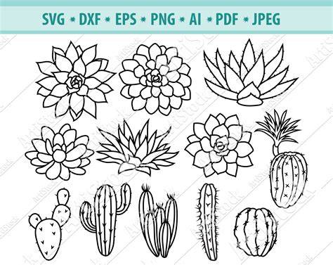 Download Free Succulent Bundle Files DXF Files