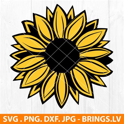 Download Free Sunflower SVG, Sunflower DXF, Cuttable File Commercial Use DXF Files