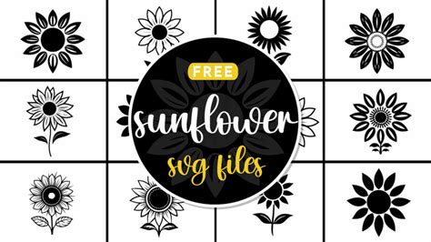 Download Free Sunflower SVG Bundle - 20 Designs DXF Files