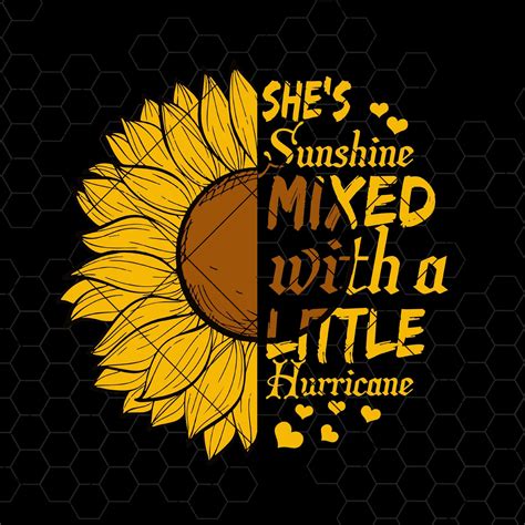 Download Free Sunshine Mixed With A Little Hurricane Files DXF Files