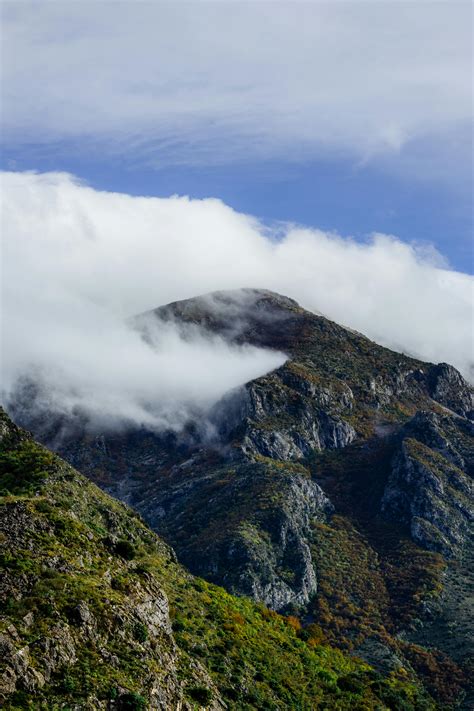 Download Free To Have & Hold - SVG File, DXF File for Cricut