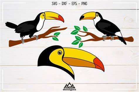 Download Free Toucan Bird Svg Design For Crafts