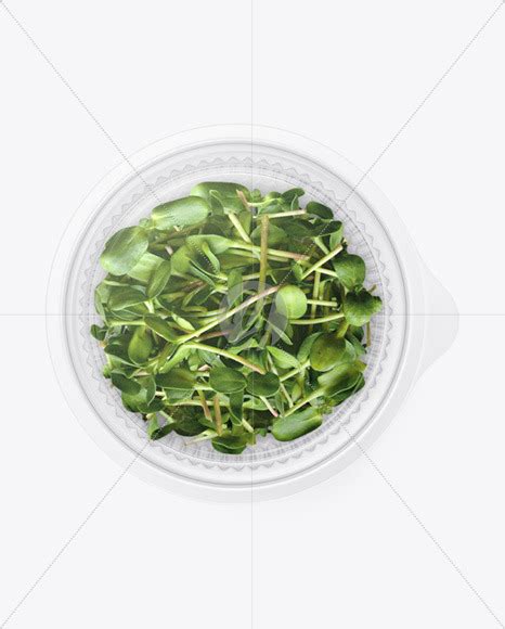 Download Free Transparent Plastic Container with Microgreen Mockup TIFF PSD Generator