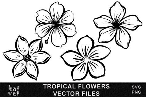 Fancify your designs with our Free Tropical Flower SVG collection