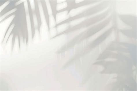 Download Free Tropical Leaf Shadows PSD Templates Object Mockups