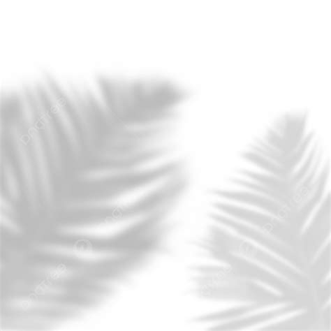 Download Free Tropical Leaf Shadows PSD Templates Yellowimages