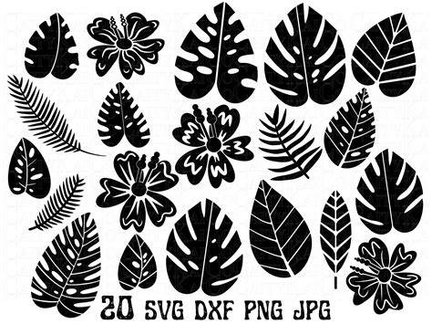 Download Free Tropical Leaves SVG Bundle Commercial Use DXF Files