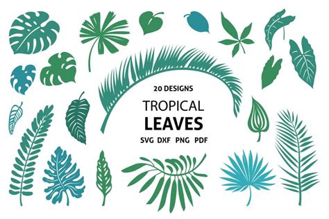 Download Free Tropical Leaves SVG Bundle Cut Files