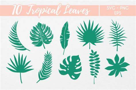 Download Free Tropical Leaves SVG Bundle Files For Crafts