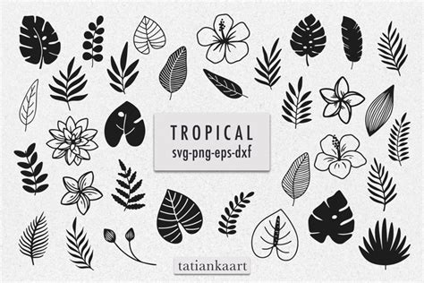 Download Free Tropical Leaves SVG Bundle Printable