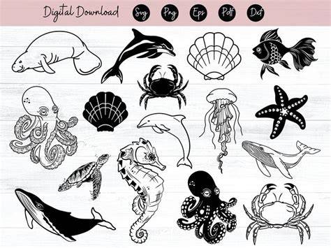 Download Free Under The Sea - SVG File, DXF File For Cricut