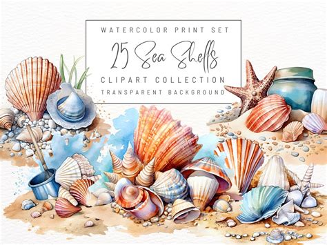 Download Free Watercolor Shells Clipart Commercial Use DXF Files