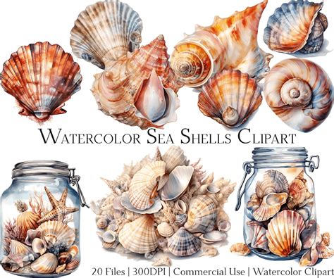 Download Free Watercolor Shells Clipart Commercial Use For Crafts