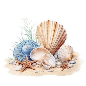 Download Free Watercolor Shells Clipart Easy Edite