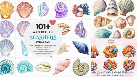 Download Free Watercolor Shells Clipart Files For Crafts