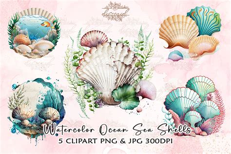Download Free Watercolor Shells Clipart Files Free PSD Mockups