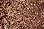 Free Wood Mulch