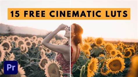Free World Monitor Luts