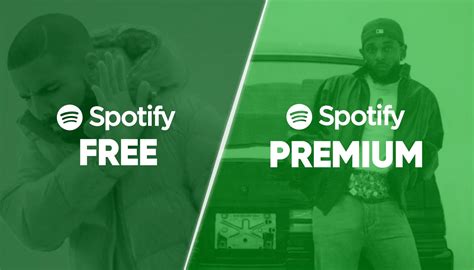 Free vs. Premium Coloring Options