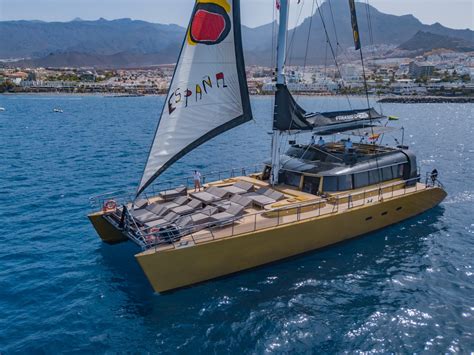 Freebird One Catamaran
