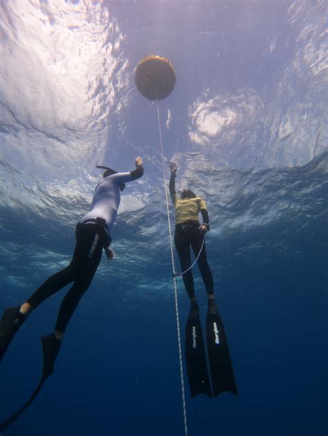 Freediving FAQs