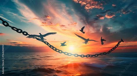 Freedom Guide: Breaking Free From Constraints