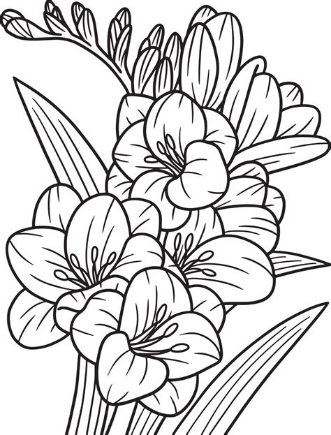 Screenshot of Freesia coloring pages printable template