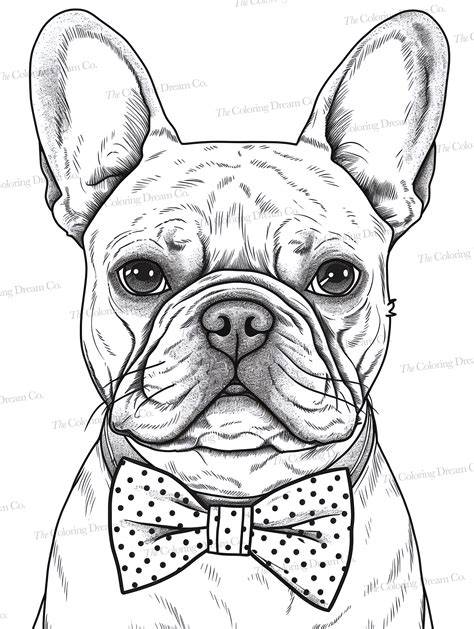 French Bulldog Coloring Pages
