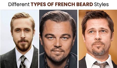 French Cut Beard Styles For Round Face