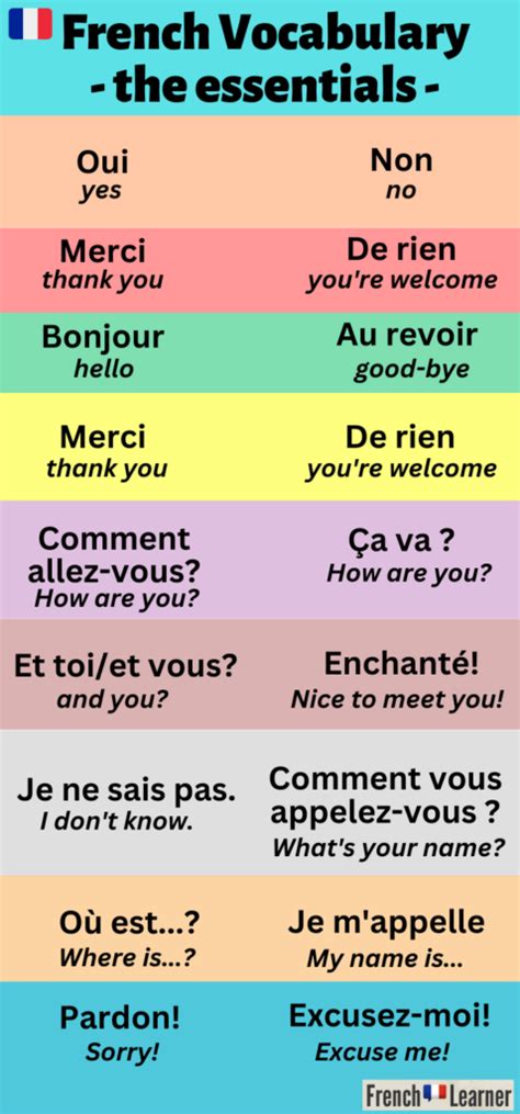 French Language Basics