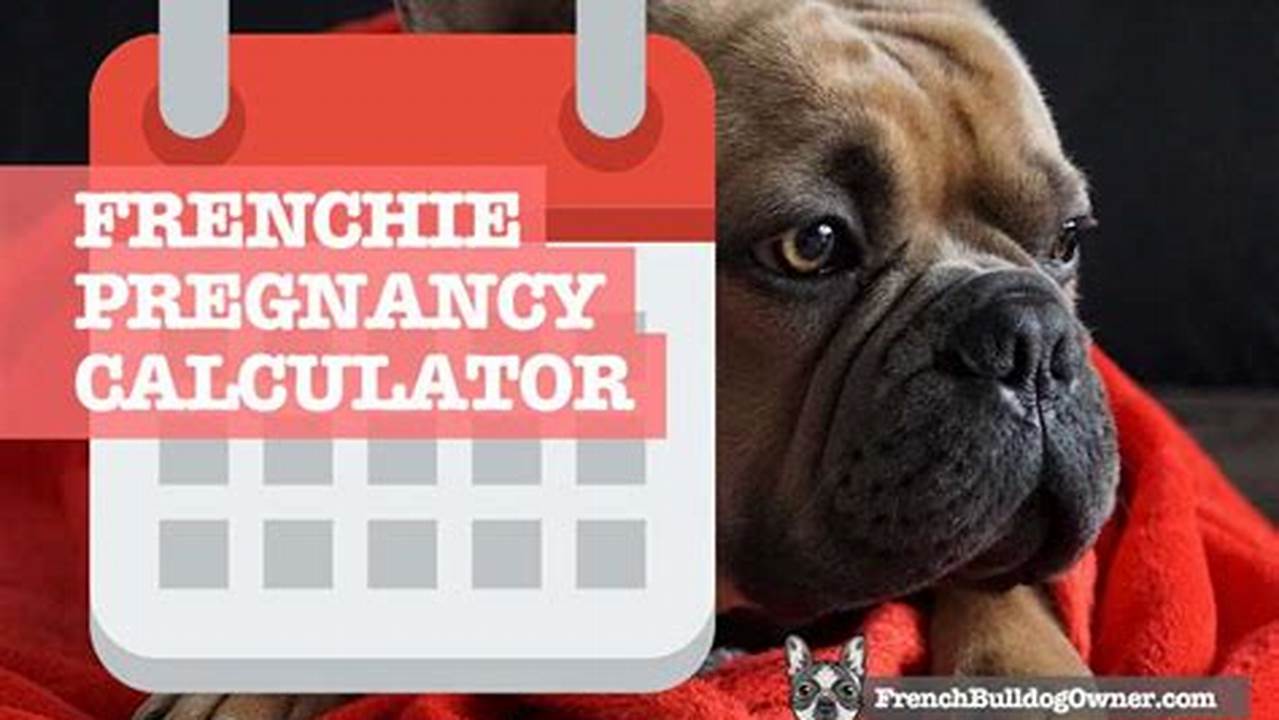 Frenchie 2025 Calendar Calculator Program
