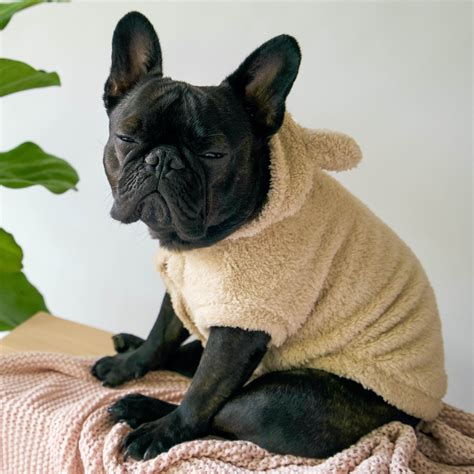 Frenchie Clothes For Humans