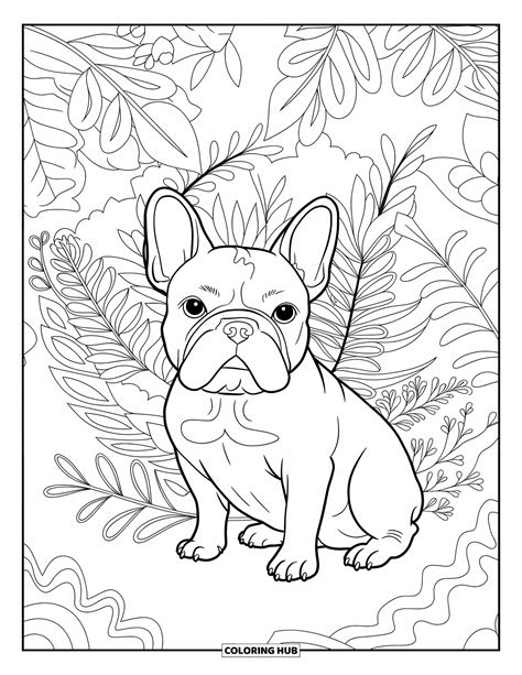 Frenchie Coloring Pages