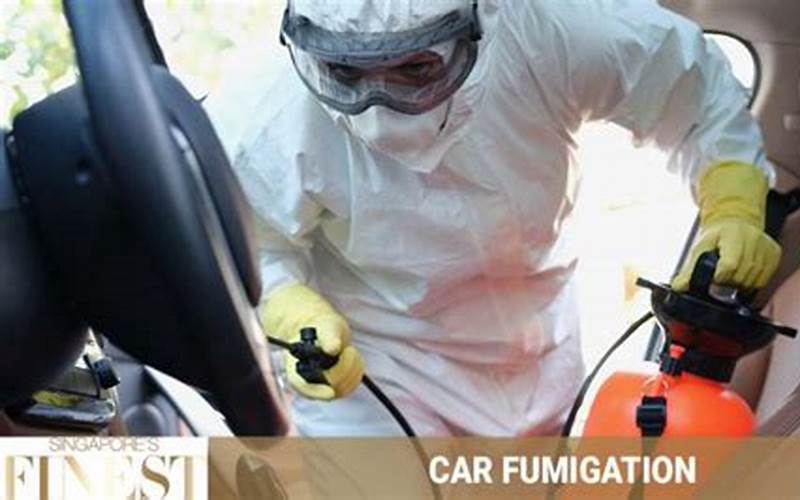 Frequency Of Car Fumigation