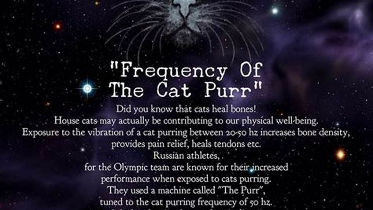 Frequency, Best Cats